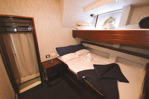 Standard Cabin Mary Anne